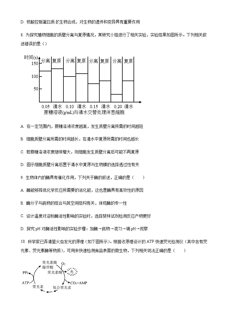 辽宁省沈阳市二中2023-2024学年高三上学期暑假阶段验收测试 生物 Word版试题第3页