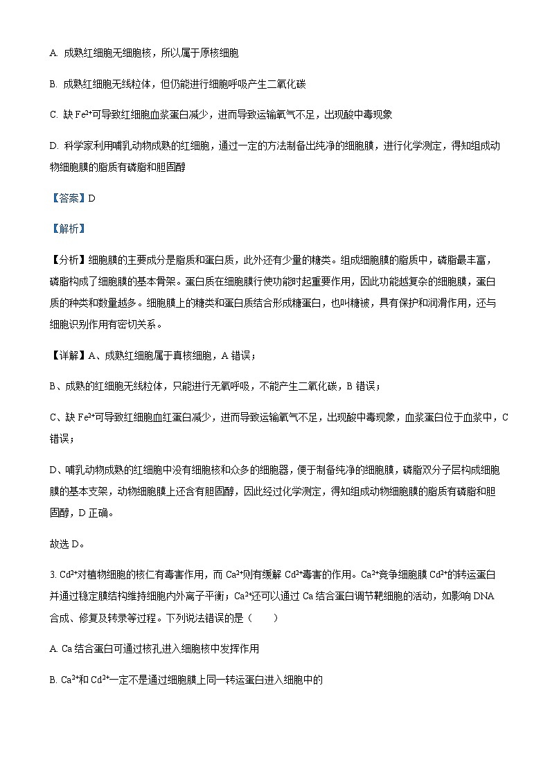 辽宁省沈阳市二中2023-2024学年高三上学期暑假阶段验收测试  Word版答案第2页