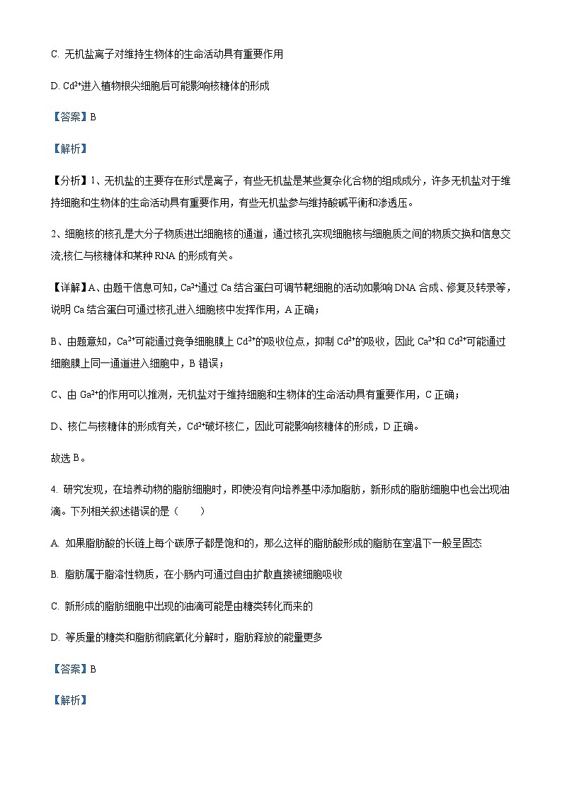 辽宁省沈阳市二中2023-2024学年高三上学期暑假阶段验收测试  Word版答案第3页