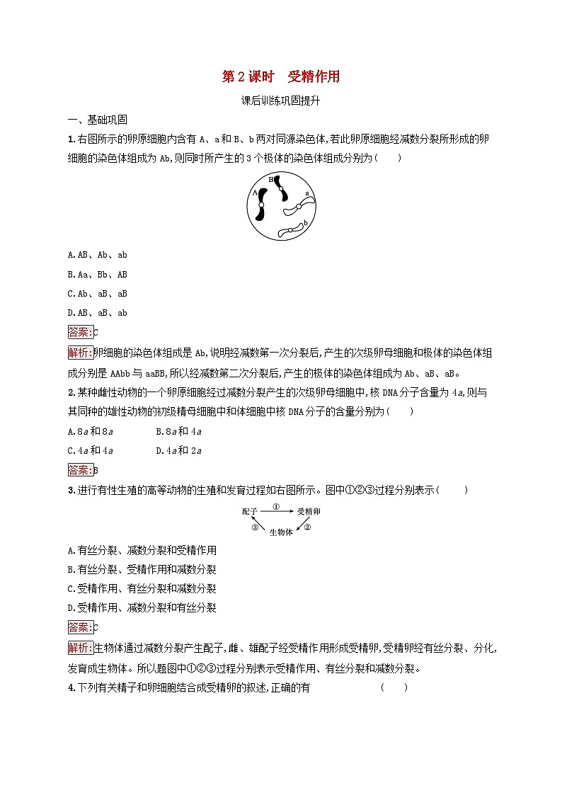 新教材适用2023年高中生物第2章基因和染色体的关系第1节减数分裂和受精作用第2课时受精作用课后习题新人教版必修201