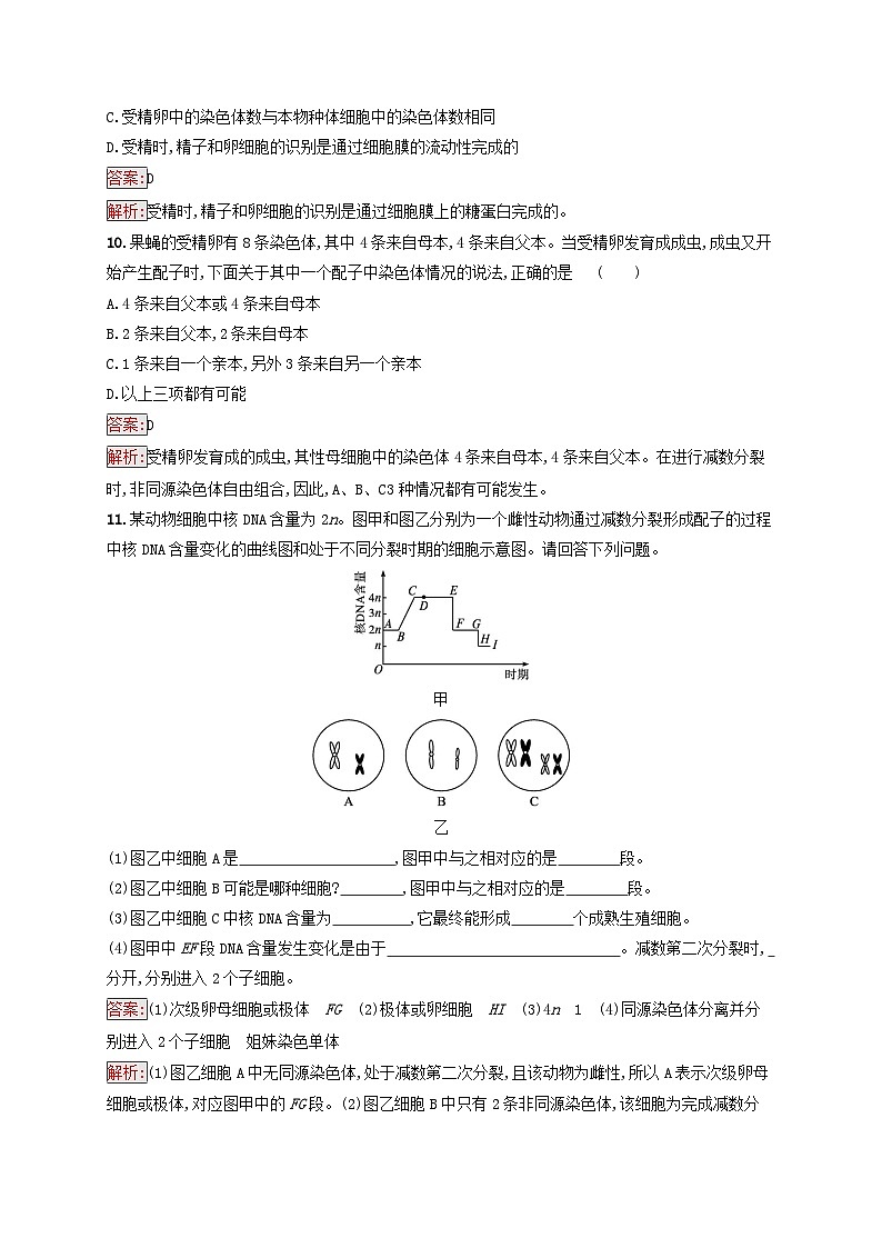 新教材适用2023年高中生物第2章基因和染色体的关系第1节减数分裂和受精作用第2课时受精作用课后习题新人教版必修203