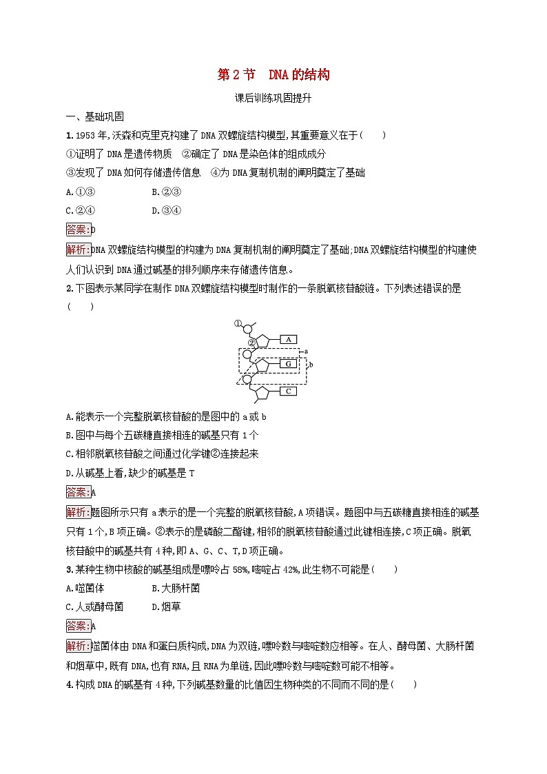 新教材适用2023年高中生物第3章基因的本质第2节DNA的结构课后习题新人教版必修2第1页