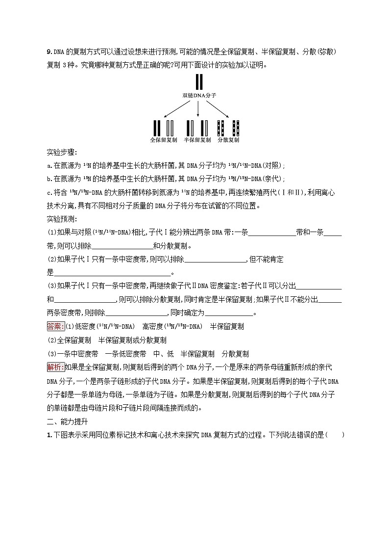 新教材适用2023年高中生物第3章基因的本质第3节DNA的复制课后习题新人教版必修203