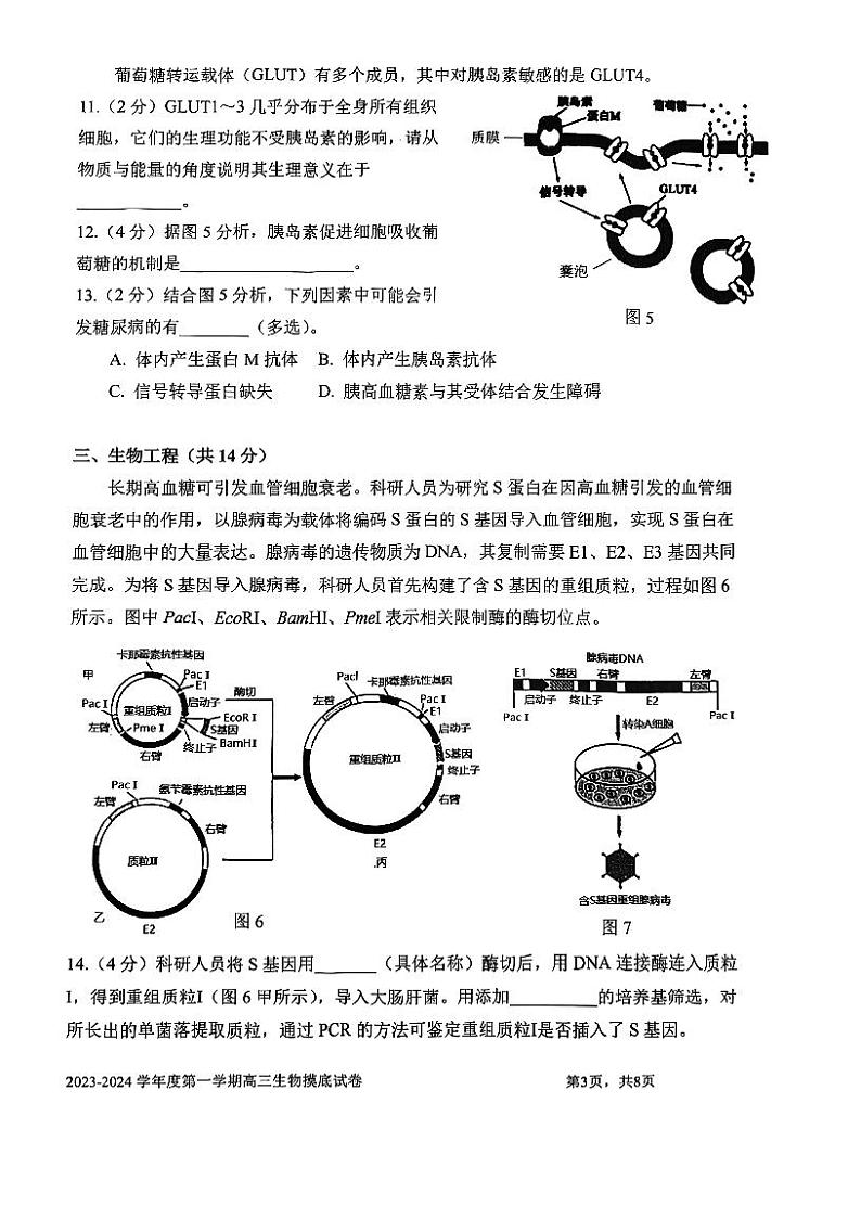 上海市某校2023-2024学年高三上学期摸底考试生物试题第3页