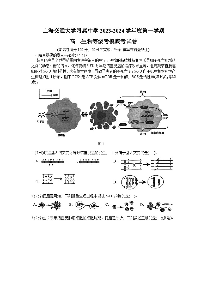 上海交通大学附属中学2023-2024学年高二上学期开学摸底考试生物试题01