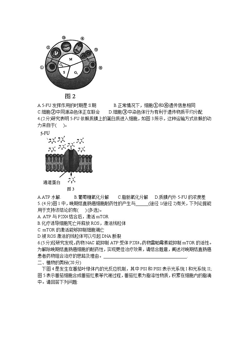 上海交通大学附属中学2023-2024学年高二上学期开学摸底考试生物试题02