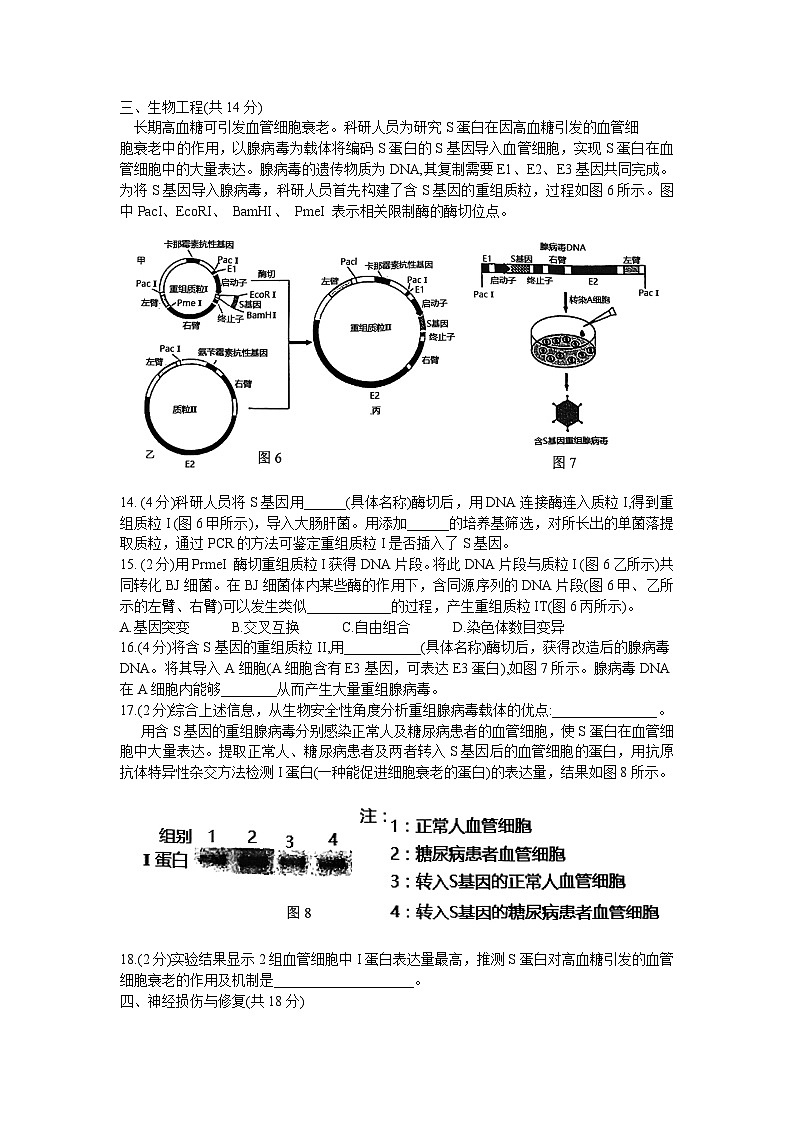 上海交通大学附属中学2023-2024学年高三上学期开学摸底考试生物试题第3页
