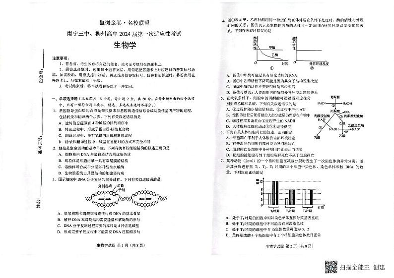 邕衡金卷名校联盟南宁三中、柳州高中2024届第一次适应性考试生物试题（含答案）01