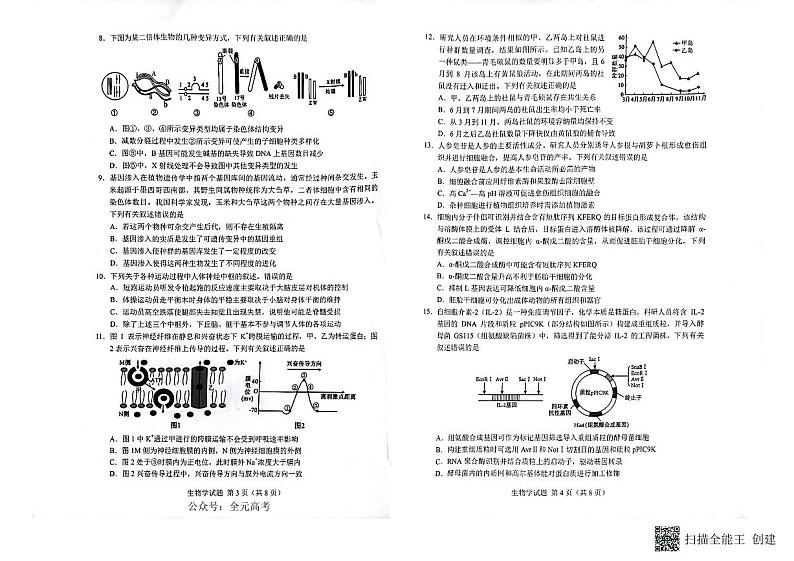 邕衡金卷名校联盟南宁三中、柳州高中2024届第一次适应性考试生物试题（含答案）02