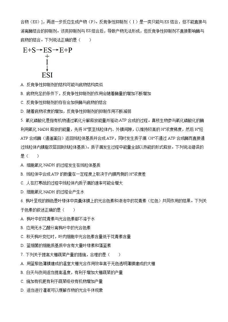 2024长沙一中高三上学期月考（一）生物试题含解析02