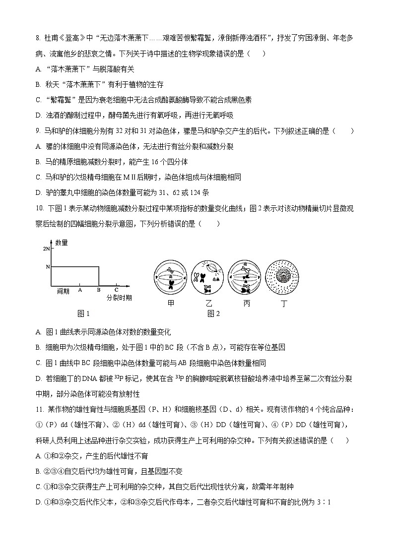 2024长沙一中高三上学期月考（一）生物试题含解析03