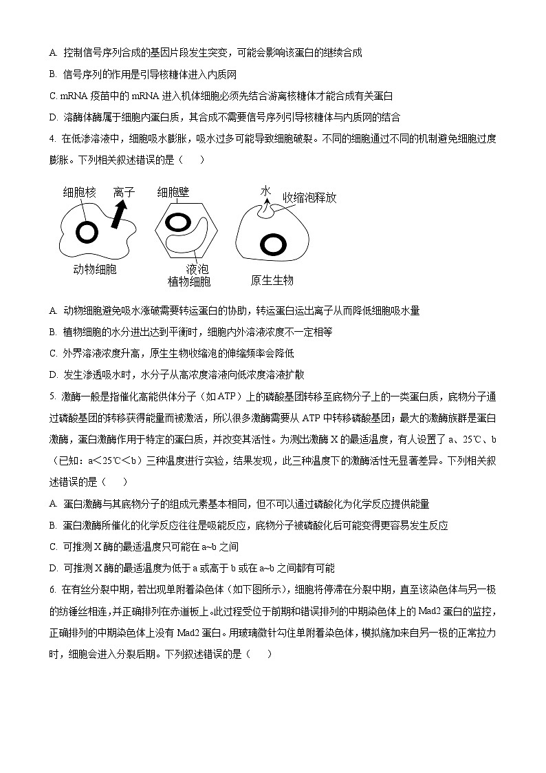 2024湖南省名校大联考高三上学期第一次月考生物试题含解析02