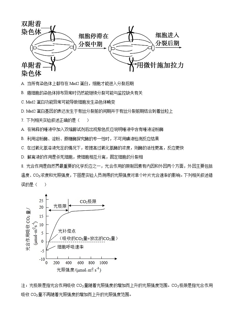 2024湖南省名校大联考高三上学期第一次月考生物试题含解析03