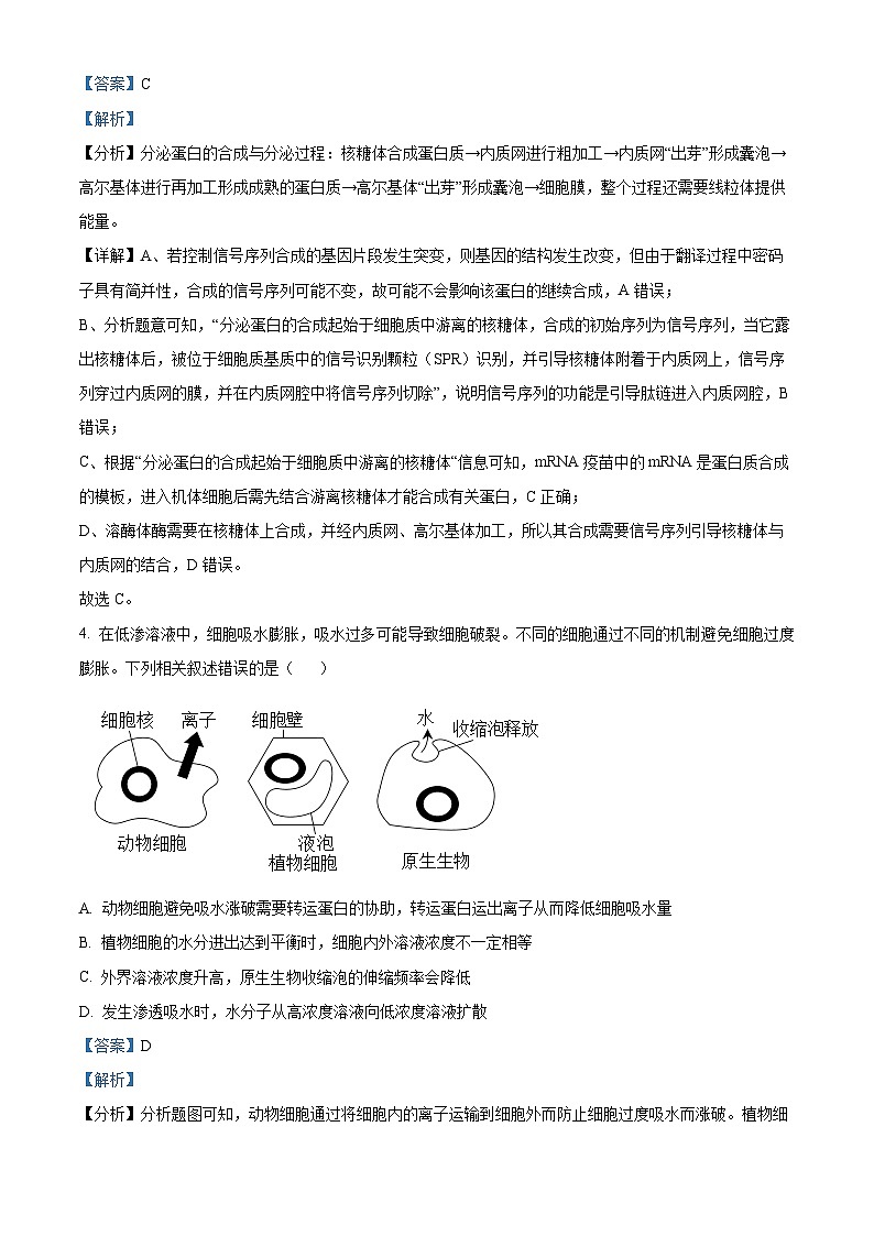 2024湖南省名校大联考高三上学期第一次月考生物试题含解析03