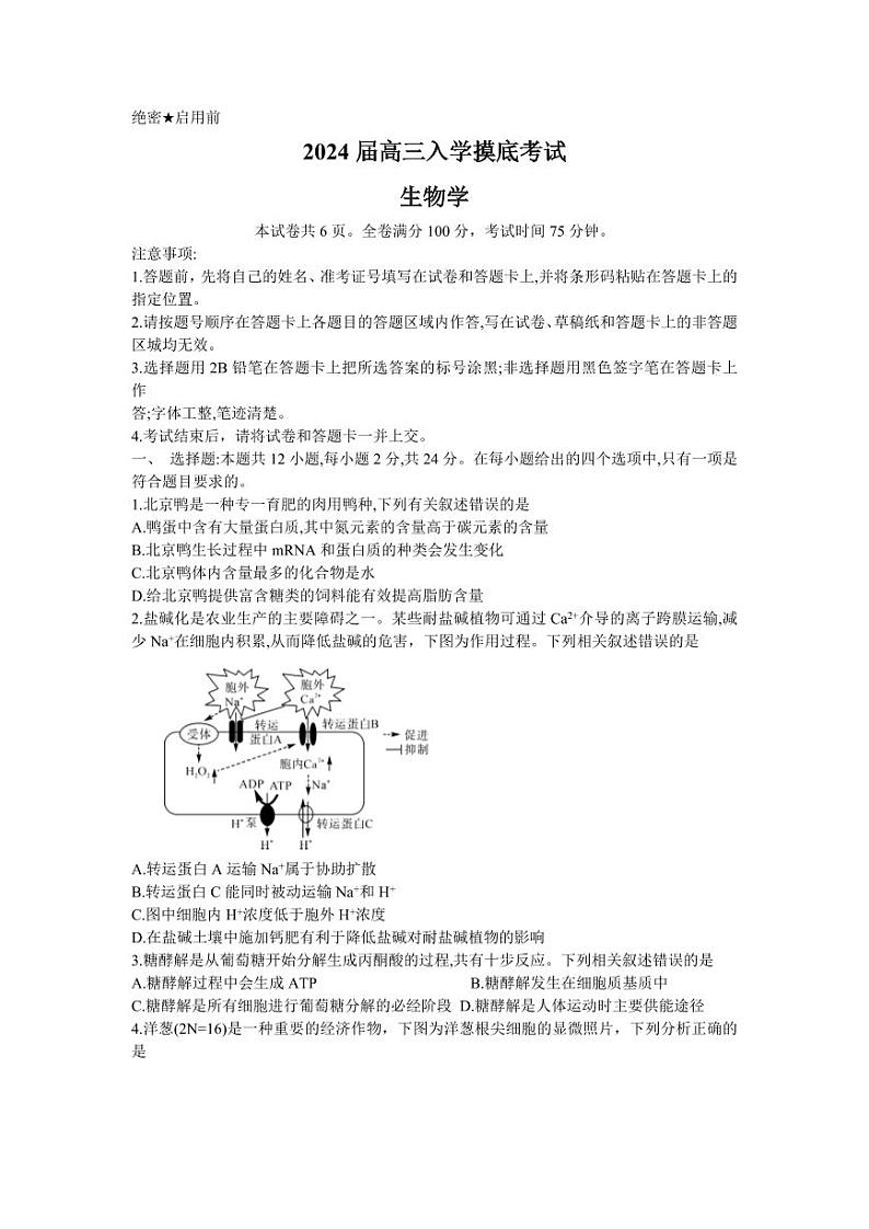 2024湖南省天壹名校联盟高三入学摸底考试生物试题扫描版含解析01