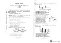 2024邕衡金卷名校联盟南宁三中、柳州高中高三上学期第一次适应性考试生物PDF版含解析