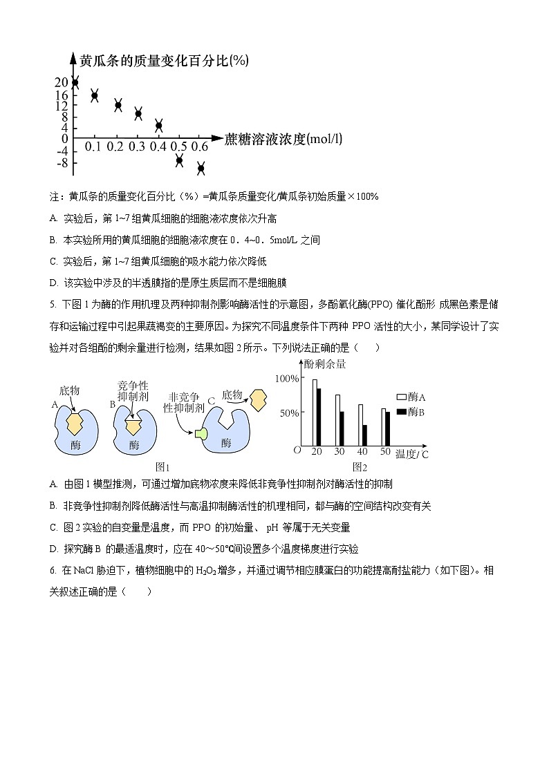 2024扬州高邮高三上学期开学考试生物试题含解析02