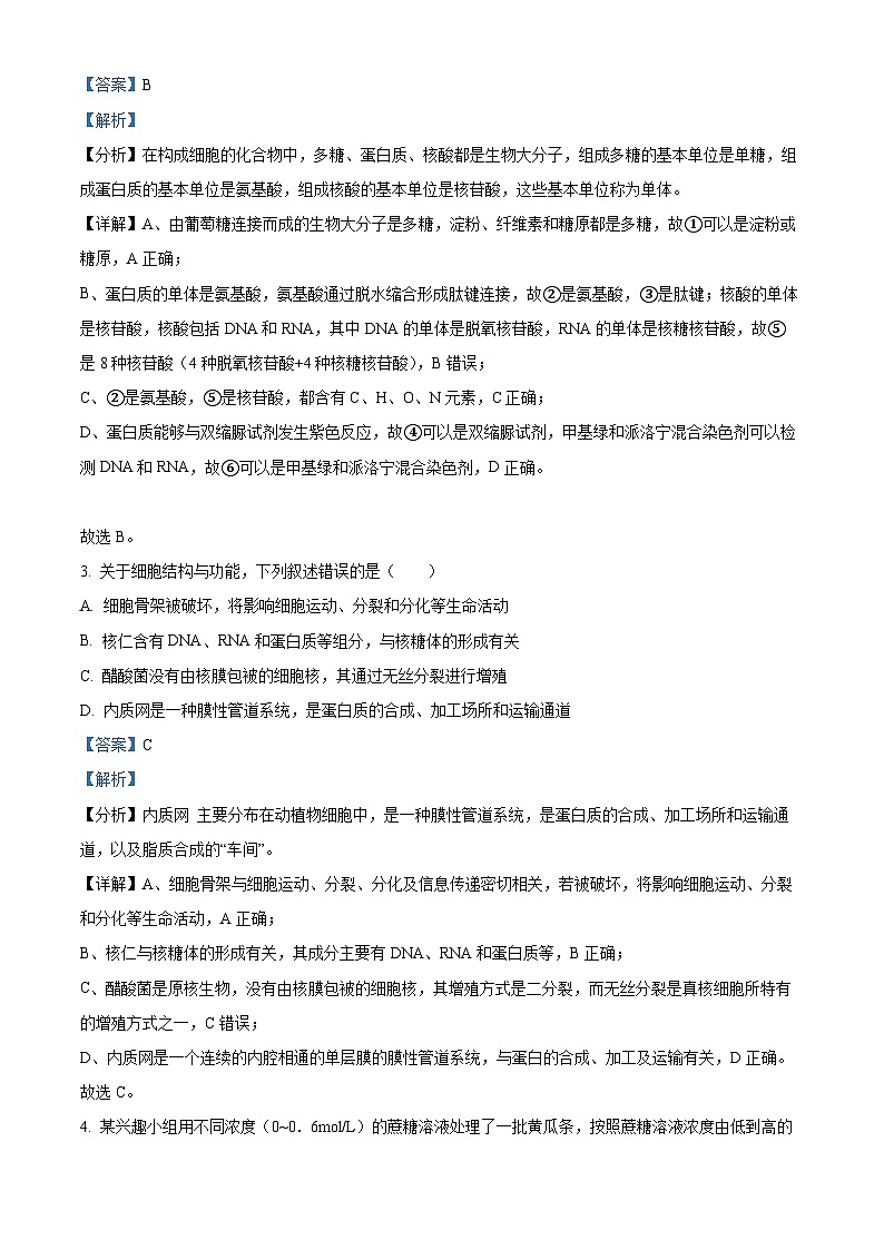 2024扬州高邮高三上学期开学考试生物试题含解析02
