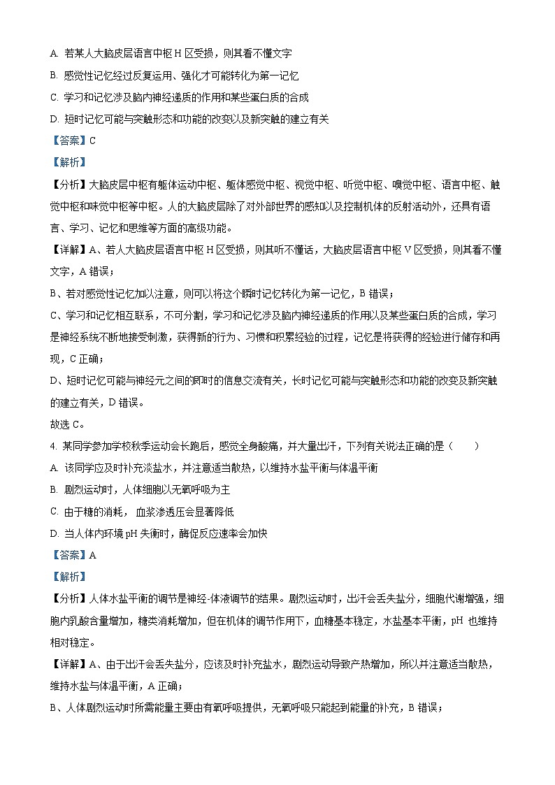 2024邵阳洞口县二中高二上学期第一次月考生物试题含解析02