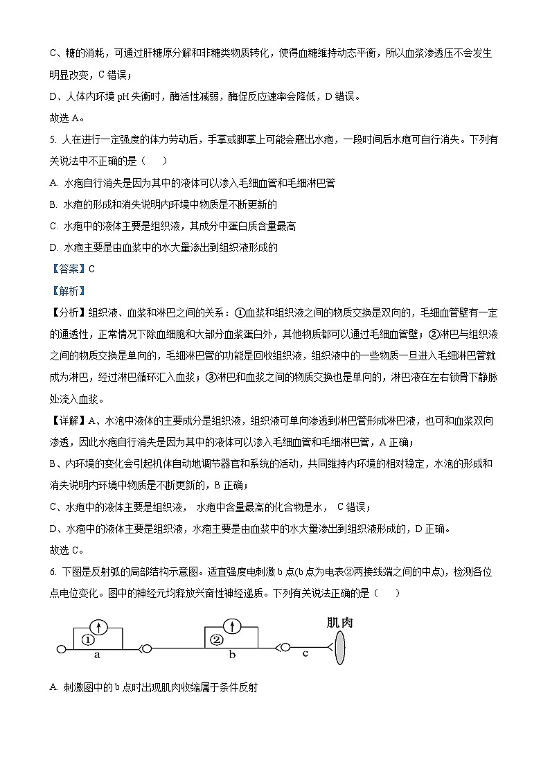 2024邵阳洞口县二中高二上学期第一次月考生物试题含解析03