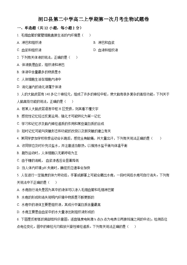 2024邵阳洞口县二中高二上学期第一次月考生物试题含解析01