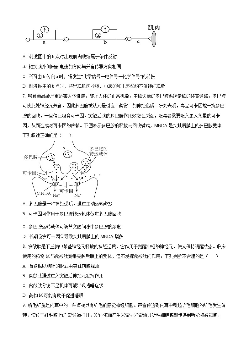 2024邵阳洞口县二中高二上学期第一次月考生物试题含解析02