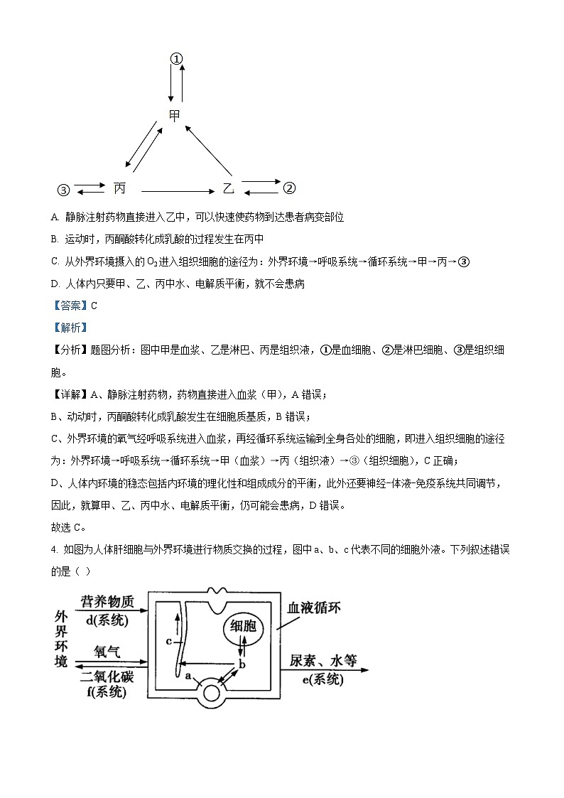 江苏省盐城中学2023-2024学年高二8月月考生物试题含解析第3页