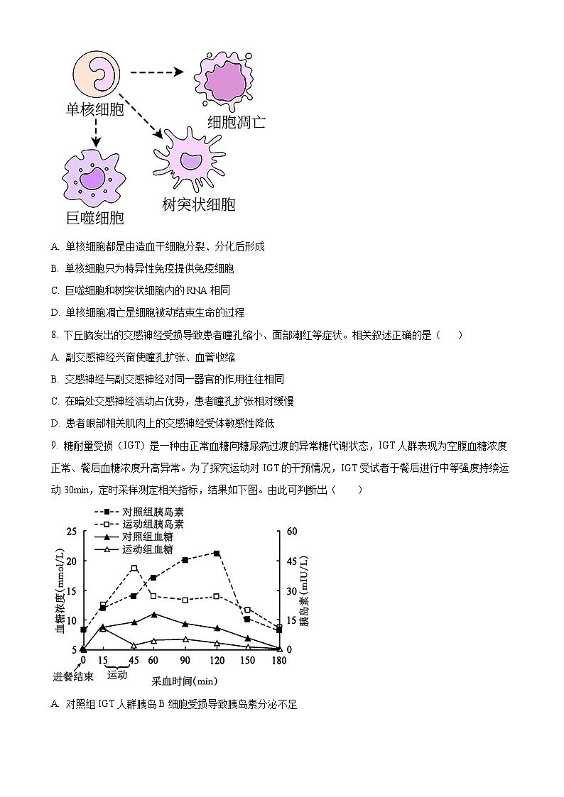 江苏省海安高级中学2023-2024学年高二上学期第一次考试生物试题无答案第3页