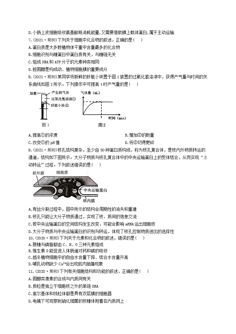 江苏省南京市九中2023-2024高三上学期8月暑期质量调研生物试卷+答案02