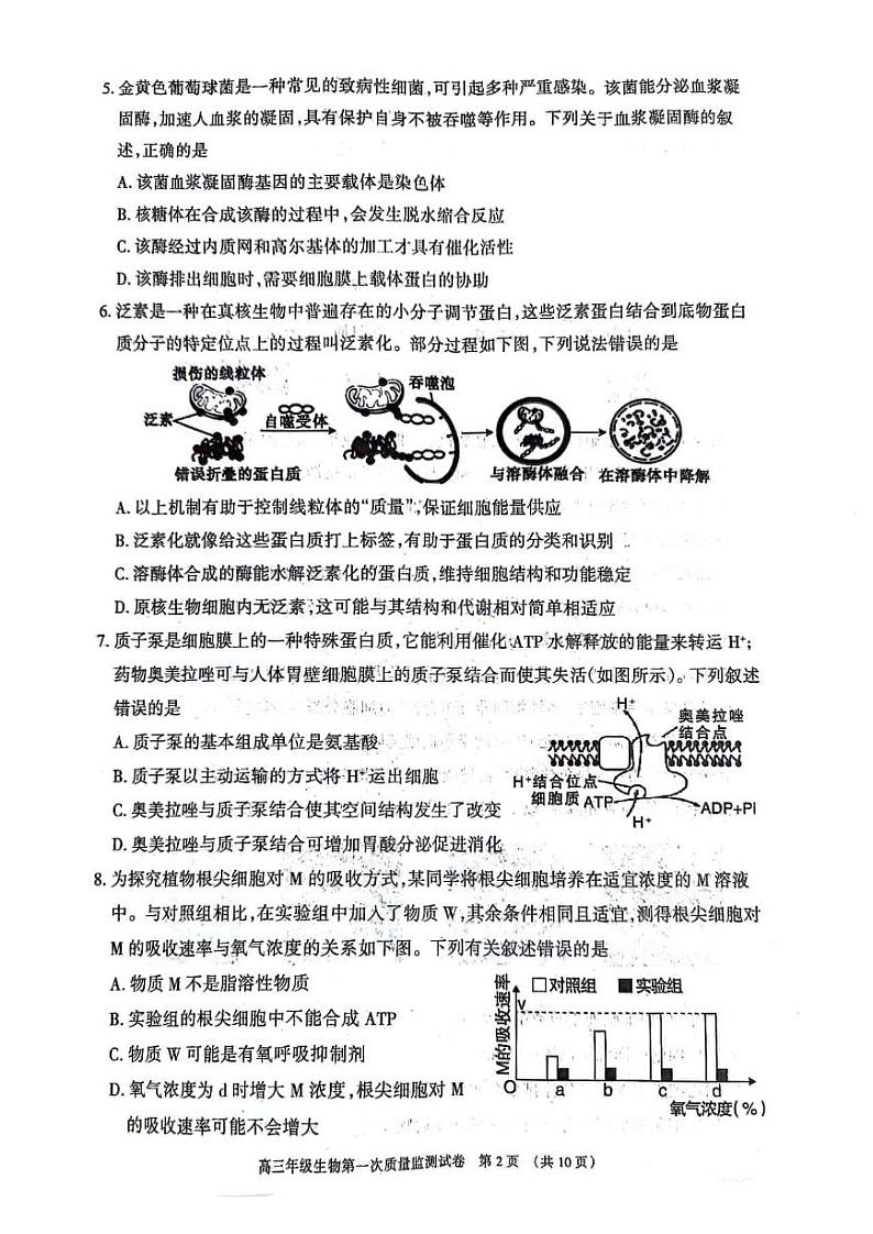内蒙古呼和浩特市2024届高三第一次质量监测生物试卷及答案02
