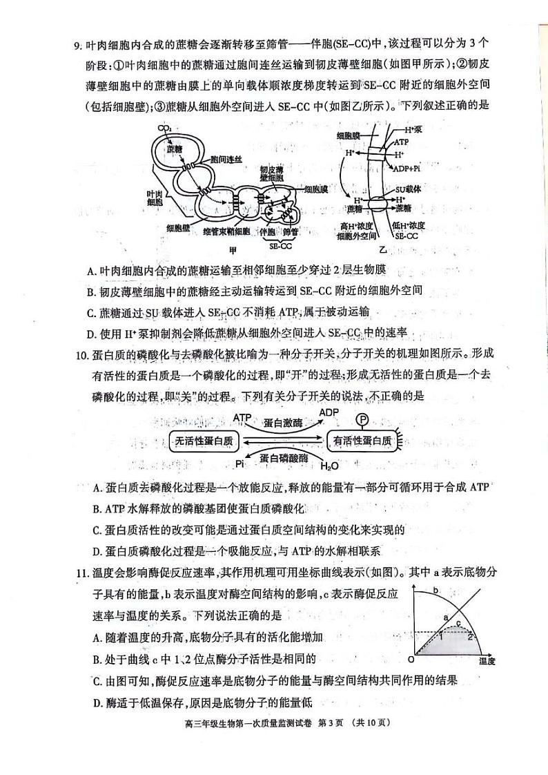 内蒙古呼和浩特市2024届高三第一次质量监测生物试卷及答案03