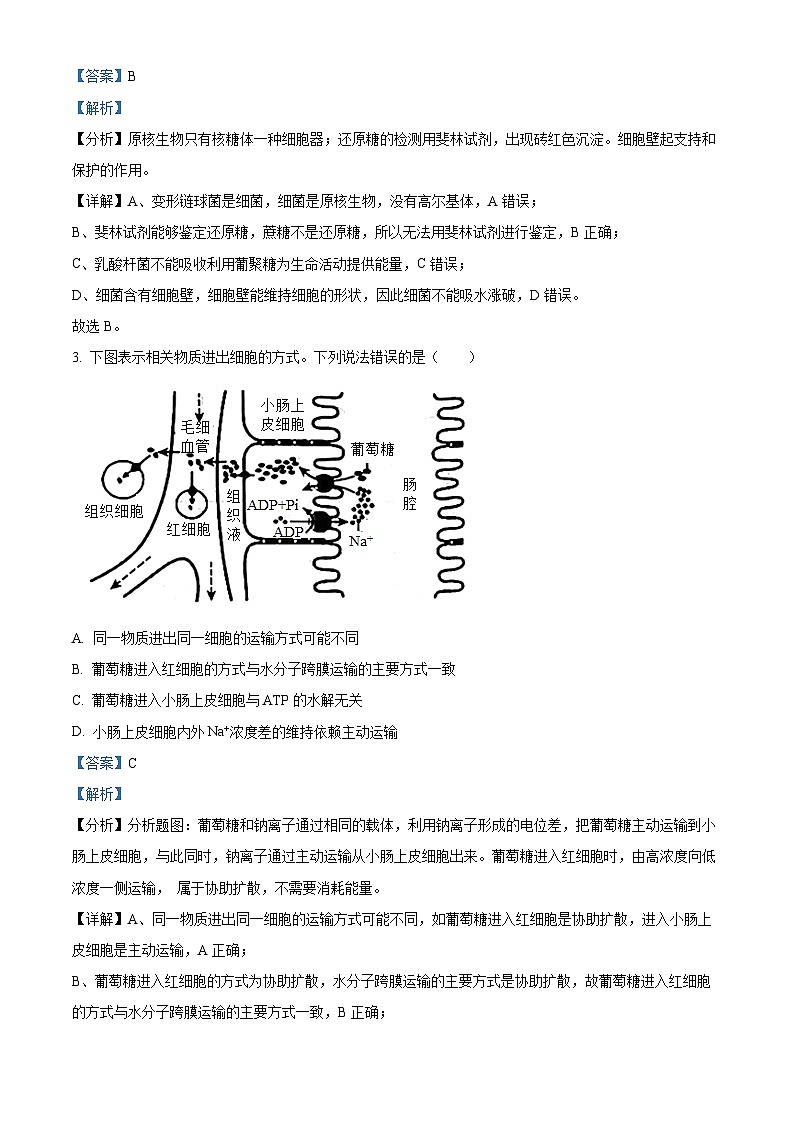 湖南省常德市第一中学2023-2024学年高二生物上学期开学考试试题（Word版附解析）02