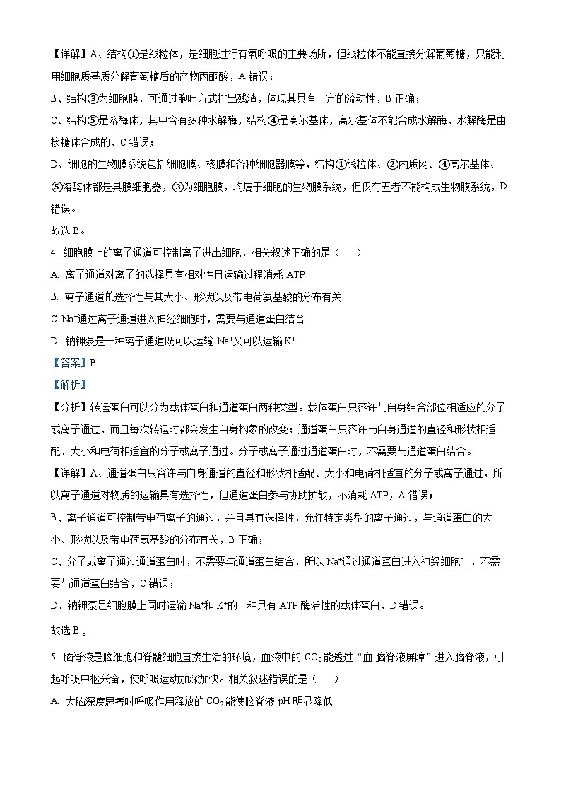 江苏省南通市海安市2023-2024学年高三生物上学期开学考试试题（Word版附解析）第3页