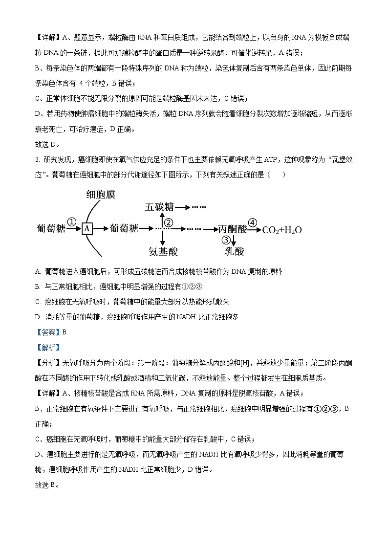 江苏省常熟市2023-2024学年高二生物上学期学生暑期自主学习调查试题（Word版附解析）02
