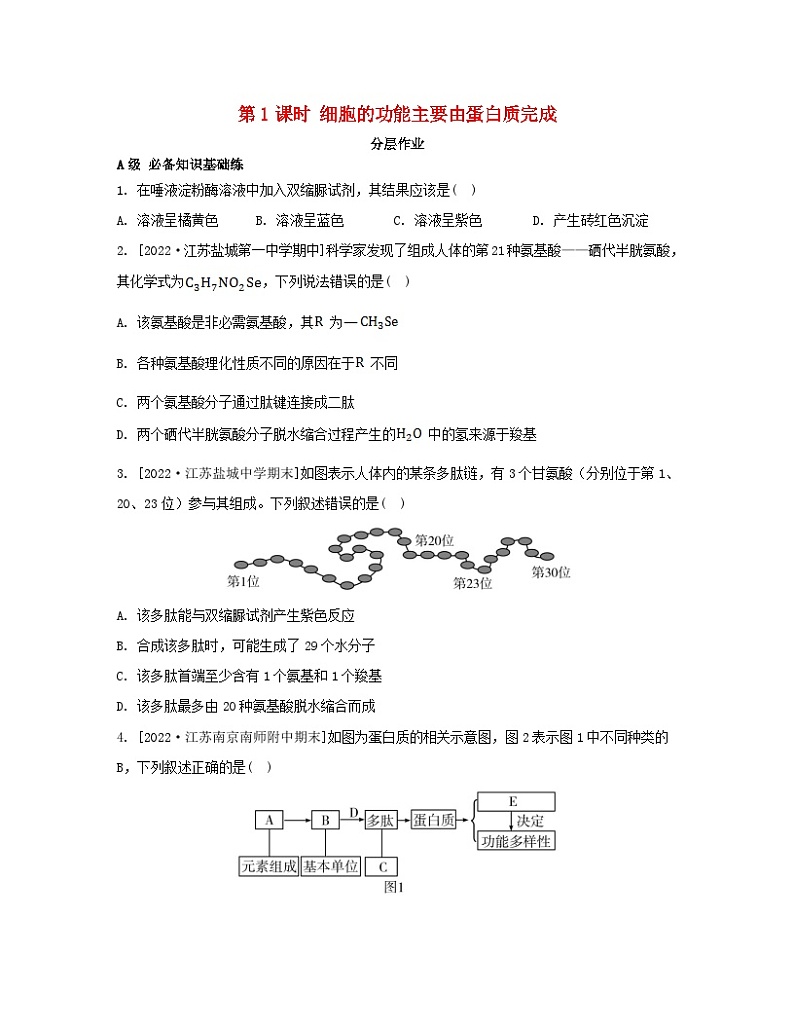 江苏专版2023_2024学年新教材高中生物第一章细胞的分子组成第三节细胞中的蛋白质和核酸第一课时细胞的功能主要由蛋白质完成分层作业苏教版必修1第1页