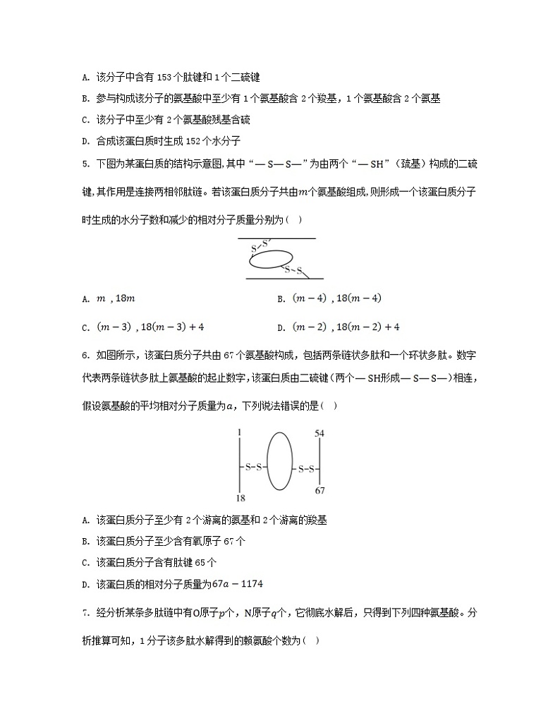 江苏专版2023_2024学年新教材高中生物第一章细胞的分子组成微专题一与蛋白质的合成和水解过程相关的计算分层作业苏教版必修1第2页