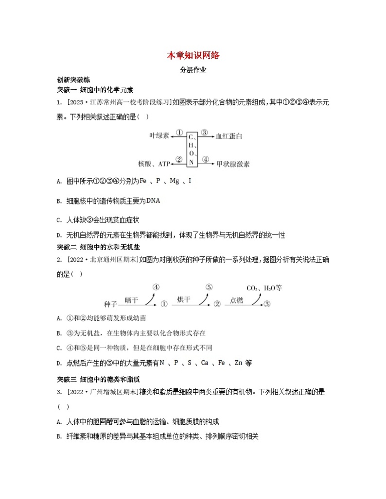 江苏专版2023_2024学年新教材高中生物第一章细胞的分子组成本章知识网络苏教版必修1第1页