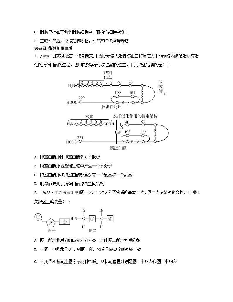 江苏专版2023_2024学年新教材高中生物第一章细胞的分子组成本章知识网络苏教版必修1第2页