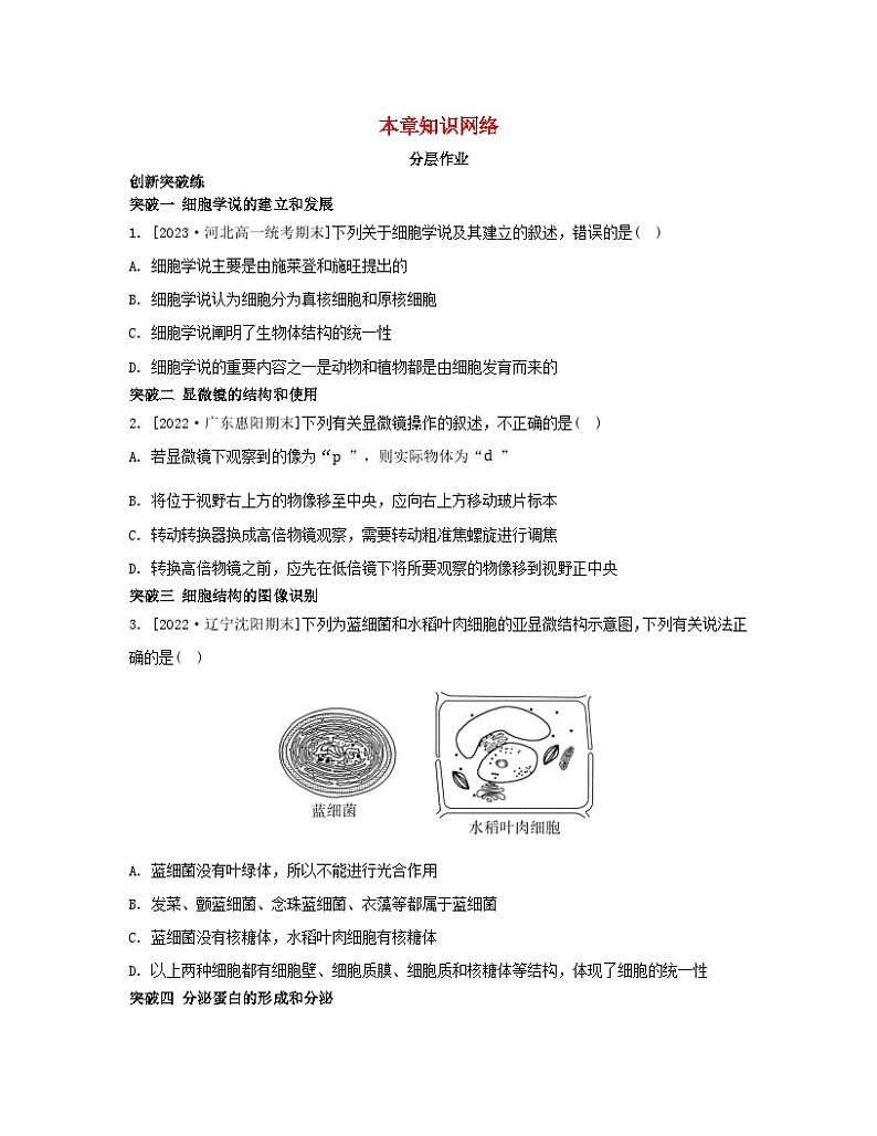 江苏专版2023_2024学年新教材高中生物第二章细胞的结构和生命活动本章知识网络苏教版必修1 试卷01