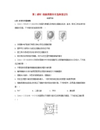 苏教版 (2019)必修1《分子与细胞》第二章 细胞的结构和生命活动第三节 物质进出细胞的运输方式第一课时巩固练习