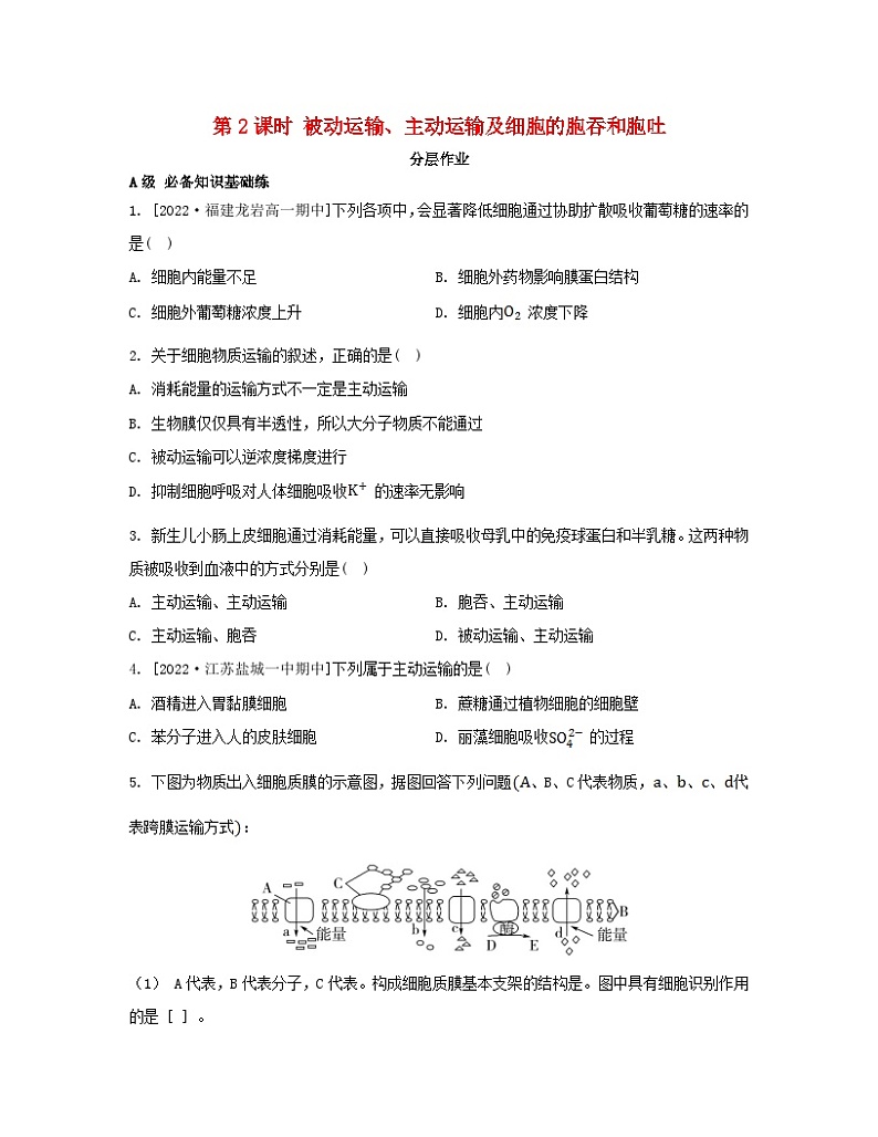 江苏专版2023_2024学年新教材高中生物第二章细胞的结构和生命活动第三节物质进出细胞的运输方式第二课时被动运输主动运输及细胞的胞吞和胞吐分层作业苏教版必修101