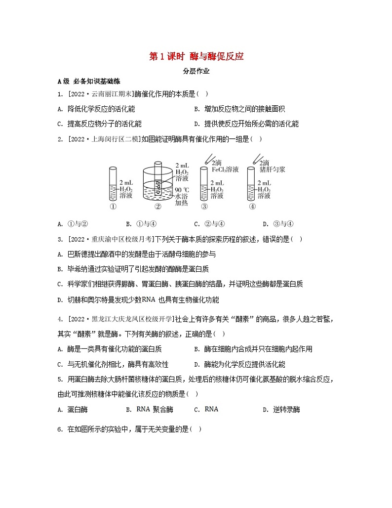 江苏专版2023_2024学年新教材高中生物第三章细胞中能量的转换和利用第一节生命活动需要酶和能源物质第一课时酶与酶促反应分层作业苏教版必修1第1页
