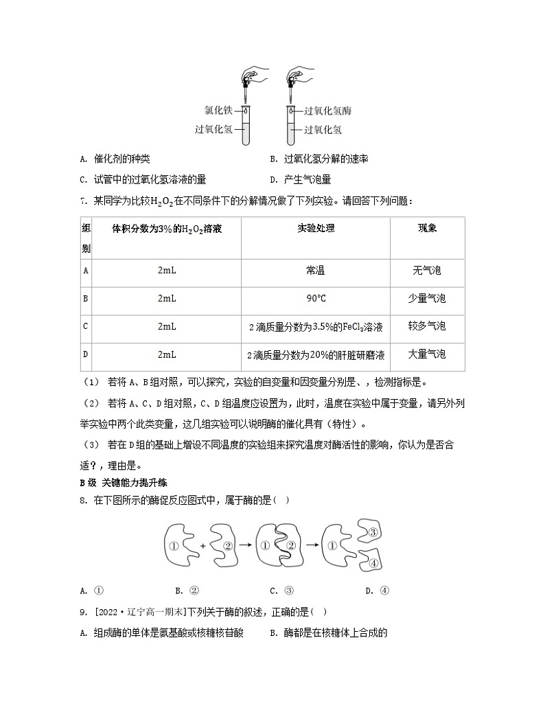江苏专版2023_2024学年新教材高中生物第三章细胞中能量的转换和利用第一节生命活动需要酶和能源物质第一课时酶与酶促反应分层作业苏教版必修1第2页