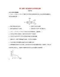 苏教版 (2019)必修1《分子与细胞》第二节 光合作用——光能的捕获和转换第二课时复习练习题