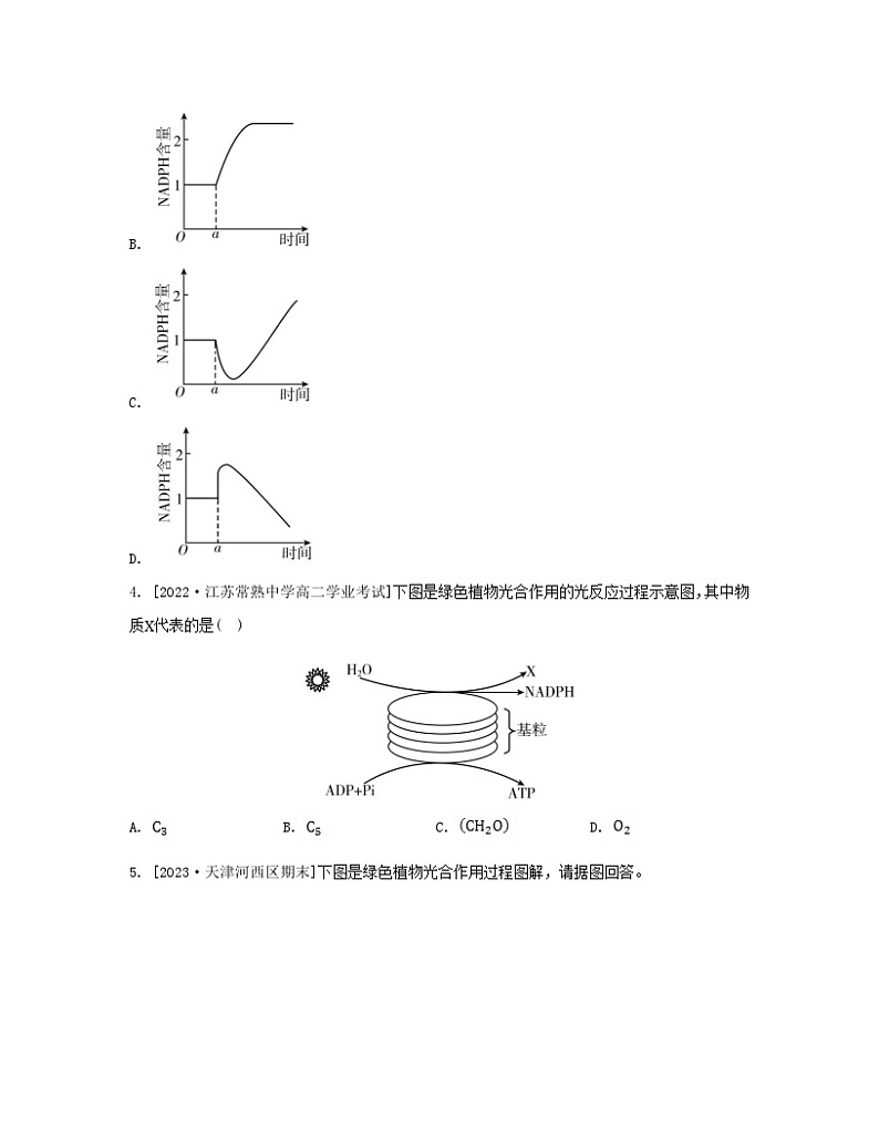 江苏专版2023_2024学年新教材高中生物第三章细胞中能量的转换和利用第二节光合作用__光能的捕获和转换第二课时绿色植物光合作用的过程分层作业苏教版必修102