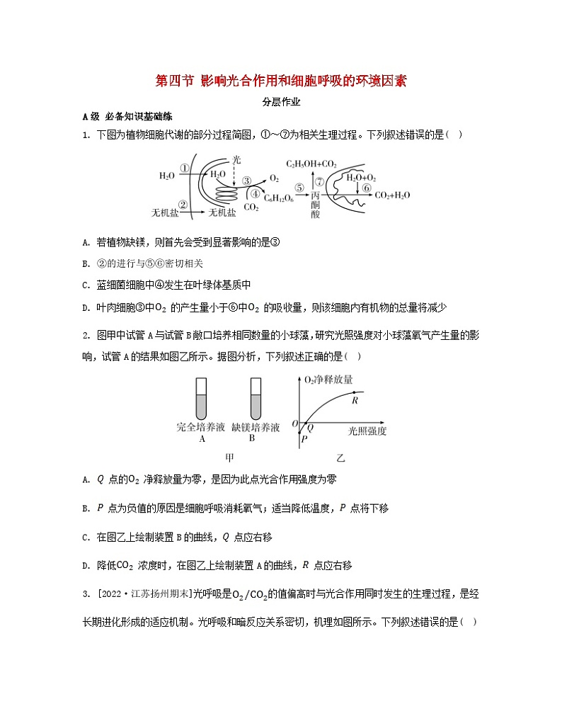 江苏专版2023_2024学年新教材高中生物第三章细胞中能量的转换和利用第四节影响光合作用和细胞呼吸的环境因素分层作业苏教版必修101