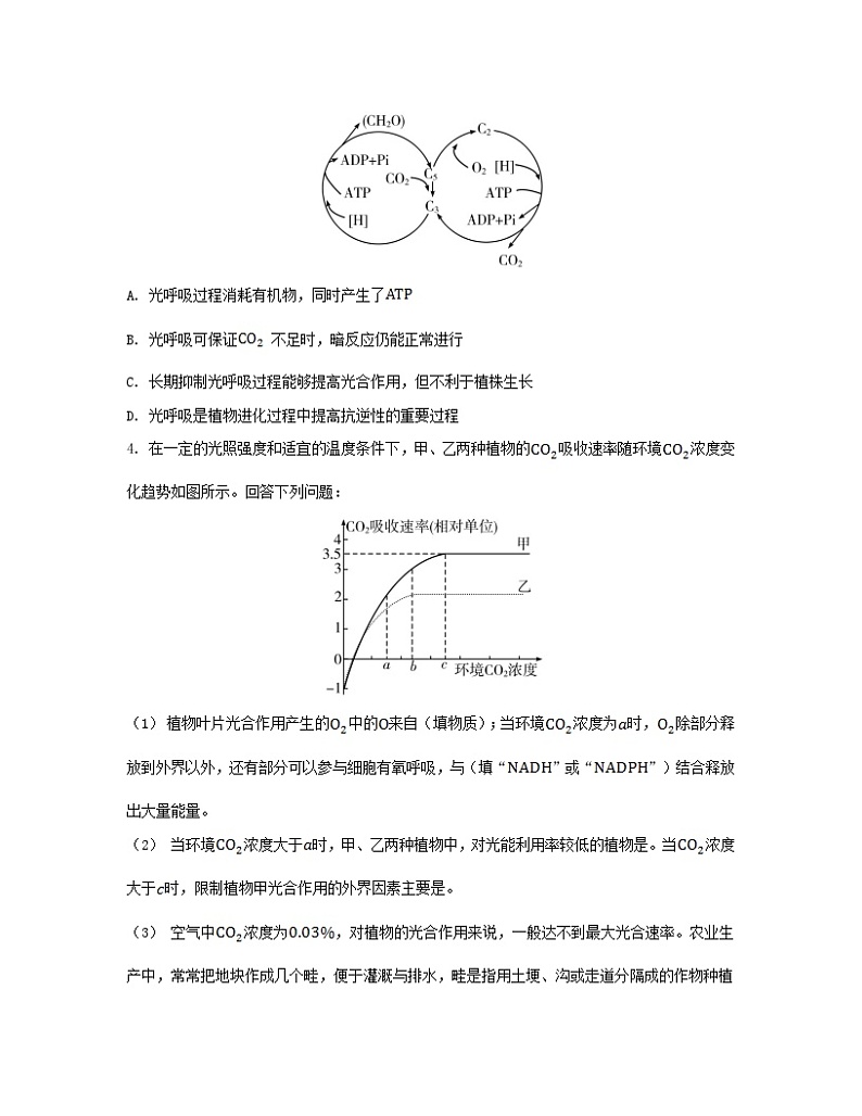江苏专版2023_2024学年新教材高中生物第三章细胞中能量的转换和利用第四节影响光合作用和细胞呼吸的环境因素分层作业苏教版必修102