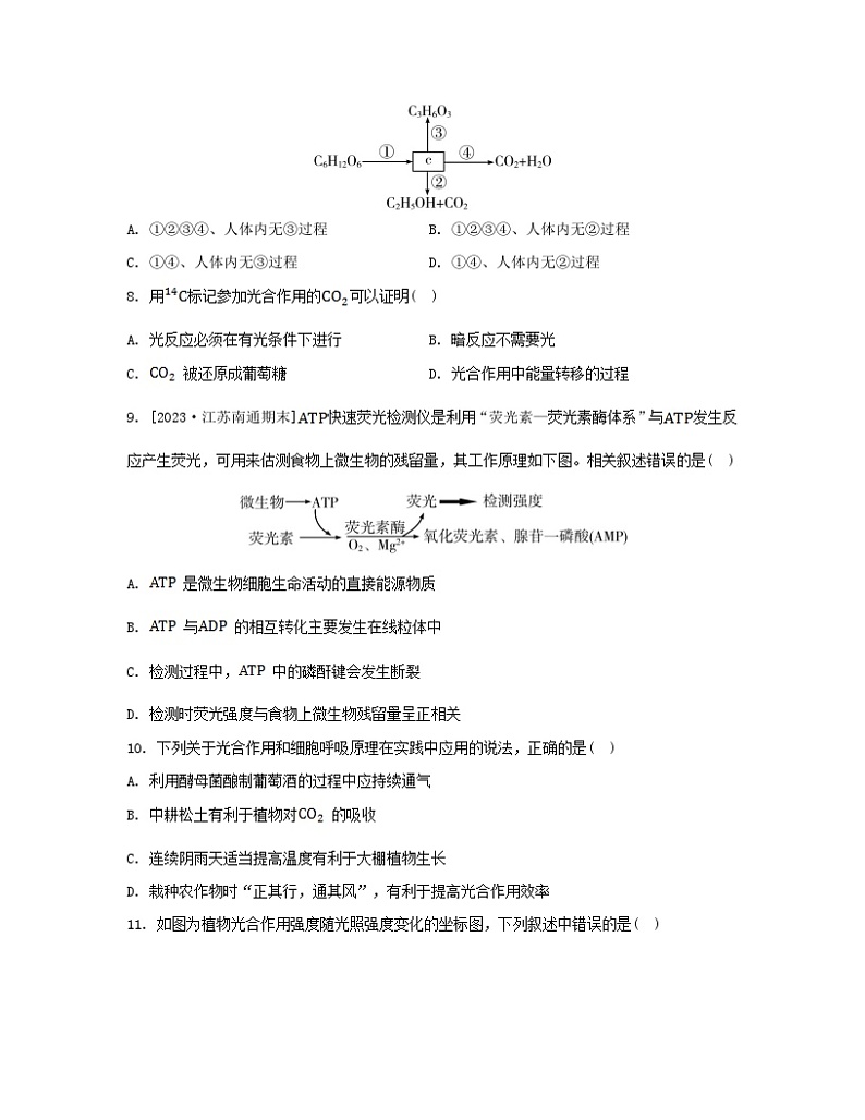 江苏专版2023_2024学年新教材高中生物第三章细胞中能量的转换和利用测评苏教版必修103