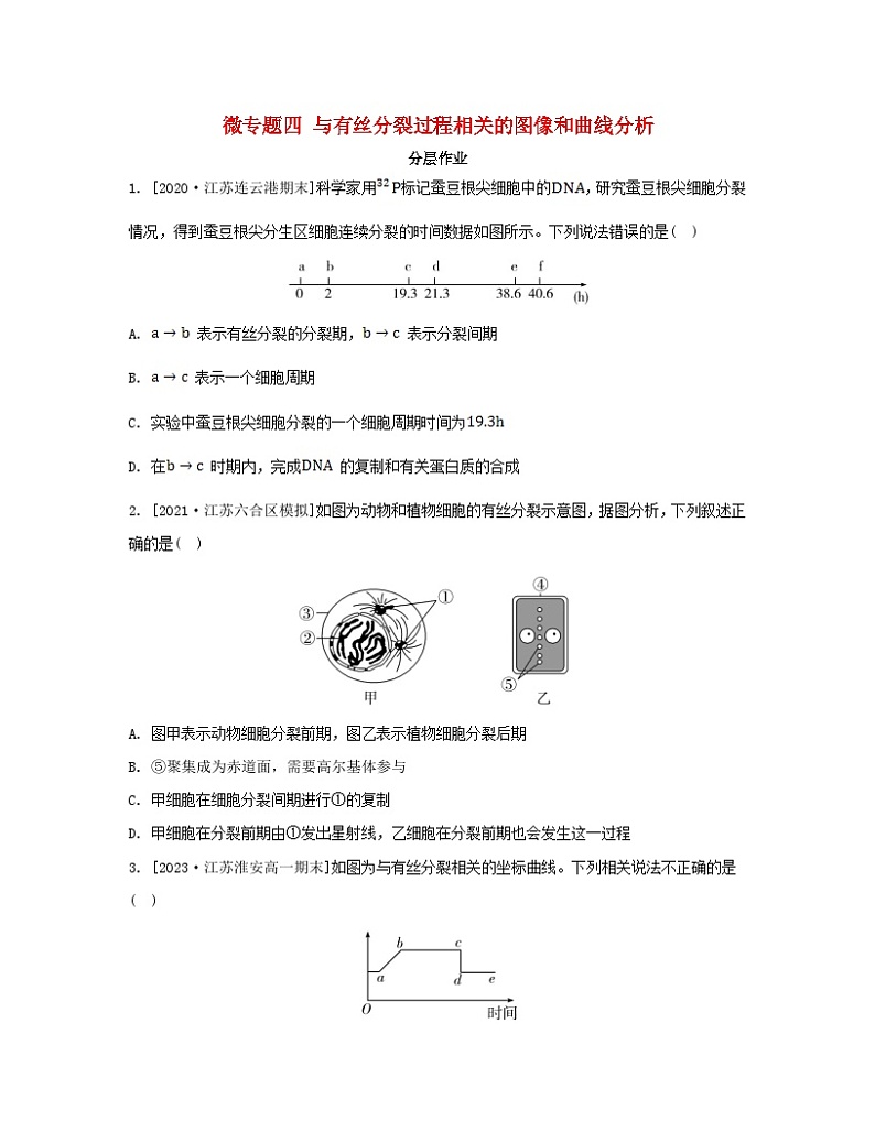 江苏专版2023_2024学年新教材高中生物第四章细胞增殖分化衰老和死亡微专题四与有丝分裂过程相关的图像和曲线分析分层作业苏教版必修101