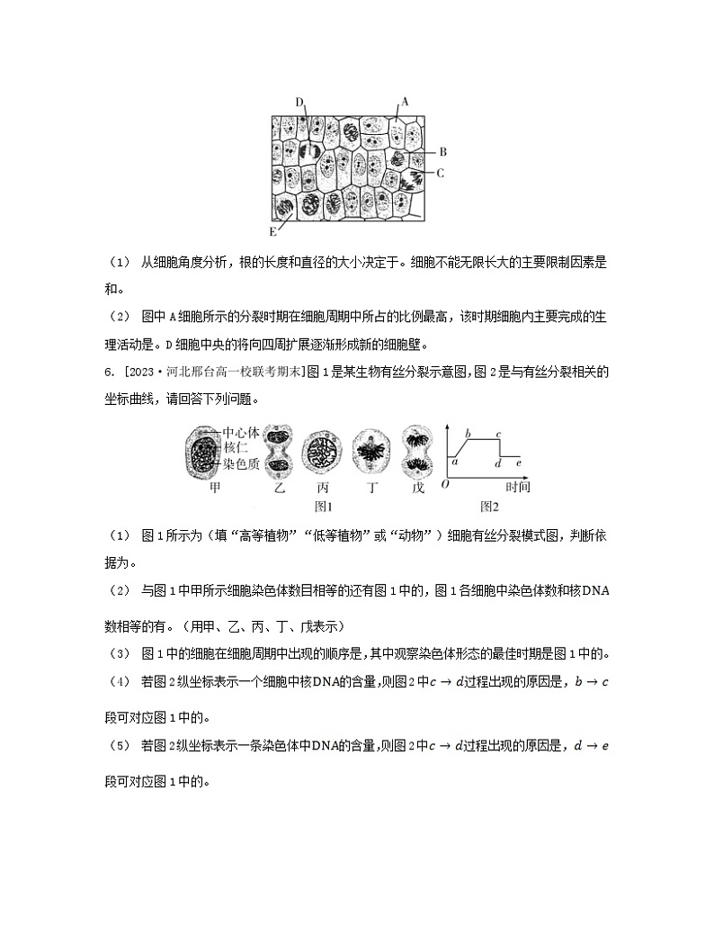 江苏专版2023_2024学年新教材高中生物第四章细胞增殖分化衰老和死亡微专题四与有丝分裂过程相关的图像和曲线分析分层作业苏教版必修103